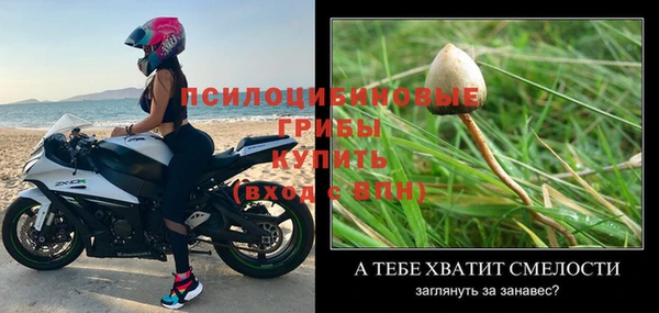 твердый Белокуриха
