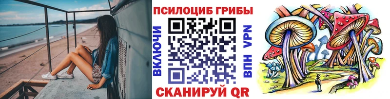 гидра ссылка  Володарск  Галлюциногенные грибы GOLDEN TEACHER 